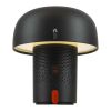 Enceinte et lampe JBL portables Kooduu Sensa Play Standard | Anthracite | sans marquage | non disponible | non disponible