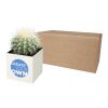 Pot en aluminium avec cactus Hey Pots blanc | sans marquage | non disponible | non disponible