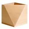 Citizen Green Hexawood Stifthalter Bois