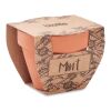 Pot avec graines de menthe bois | sans marquage | non disponible | non disponible | non disponible