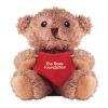 Petit ours peluche avec cœur rouge | sans marquage | non disponible | non disponible | non disponible