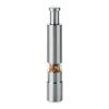 Broyeur de sel et de poivre gris transparent