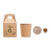 Kit de plantation avec graines de pin beige | sans marquage | non disponible | non disponible | non disponible
