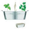 Bac en zinc & herbes aromatique argent mate | sans marquage | non disponible | non disponible | non disponible