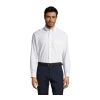 BOSTON CHEMISE HOMME OXFORD blanc | 4XL