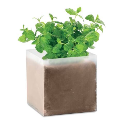 Substrat avec graines Menthe