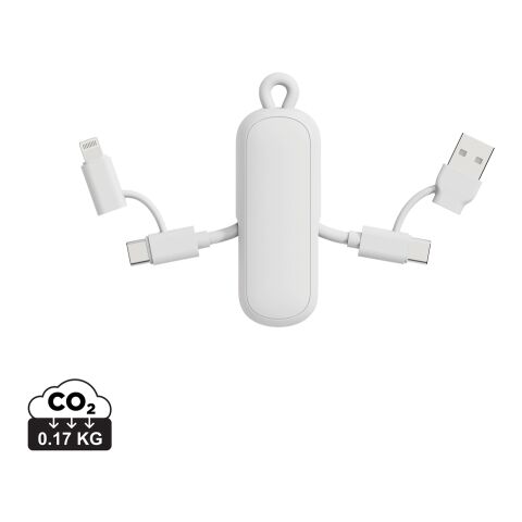 Câble 100W porte-clés 4-en-1 Urban Vitamin Dublin blanc