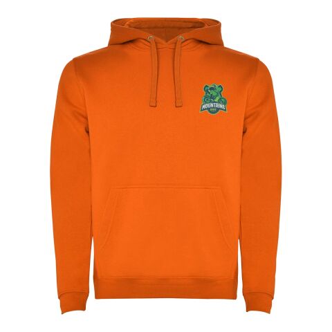 Sweat à capuche Urban pour homme