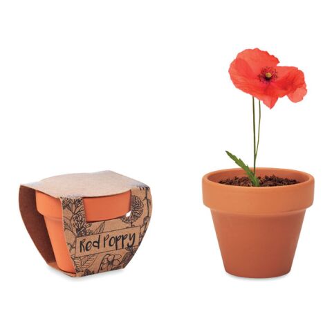 Pot graines de coquelicot