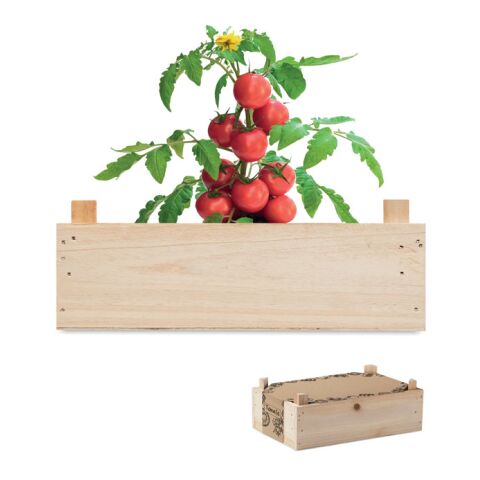 Graines de tomates dans caisset bois | sans marquage | non disponible | non disponible | non disponible