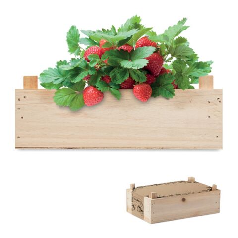 Graines de fraises dans une caisse