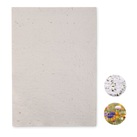 Papier A4 graines de fleurs blanc | sans marquage | non disponible | non disponible