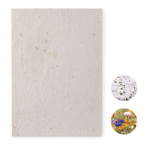 Papier A5 graines de fleurs blanc | sans marquage | non disponible | non disponible