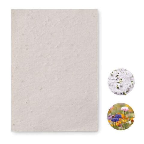 Papier A6 graines de fleurs blanc | sans marquage | non disponible | non disponible