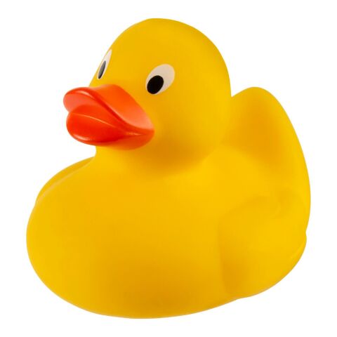 Canard en PVC