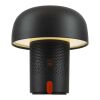 Enceinte et lampe JBL portables Kooduu Sensa Play Standard | Anthracite | sans marquage | non disponible | non disponible