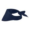 Bandana Héraclès Marine