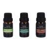 Coffret InsideOut Aroma Pebble avec 6 huiles essentielles Ecru | sans marquage | non disponible | non disponible