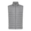 Bodywarmer homme en polyester recyclé Iqoniq Meru gris argent | M | sans marquage | non disponible | non disponible | non disponible