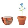 Pot graines de myosotis bois | sans marquage | non disponible | non disponible | non disponible