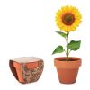 Pot graines de tournesol bois | sans marquage | non disponible | non disponible | non disponible