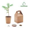 Kit de plantation avec graines de pin beige | sans marquage | non disponible | non disponible | non disponible