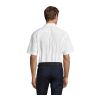 BRISTOL CHEMISE POPELINE blanc | XL