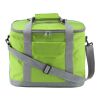Sac isotherme en polyester vert lime | sans marquage | non disponible | non disponible