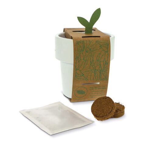 Tasse à café hot-but-cool avec graines de fraisiers Blanc | sans marquage | non disponible | non disponible | non disponible