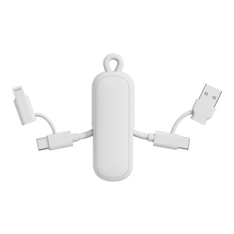 Câble 100W porte-clés 4-en-1 Urban Vitamin Dublin blanc