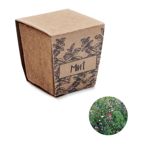 Kit de graines de menthe beige | sans marquage | non disponible | non disponible | non disponible