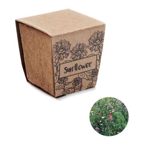 Kit de tournesol beige | sans marquage | non disponible | non disponible | non disponible