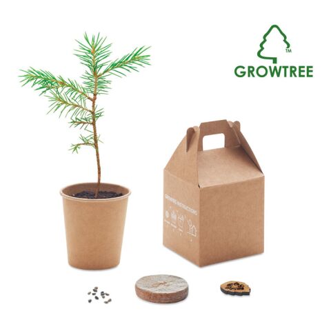 Kit de plantation avec graines de pin beige | sans marquage | non disponible | non disponible | non disponible