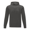 Sweat à capuche Charon pour homme Standard | Gris storm | L | sans marquage | non disponible | non disponible | non disponible