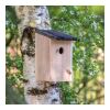 Nichoir rustique Nature | sans marquage | non disponible | non disponible | non disponible