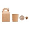 Kit de plantation avec graines de pin beige | sans marquage | non disponible | non disponible | non disponible