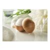 Lip balm in round bamboo case bois | sans marquage | non disponible | non disponible