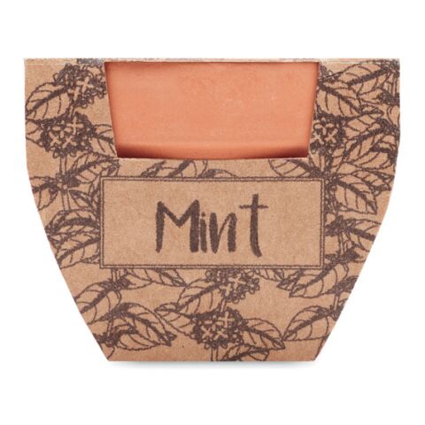 Pot avec graines de menthe bois | sans marquage | non disponible | non disponible | non disponible
