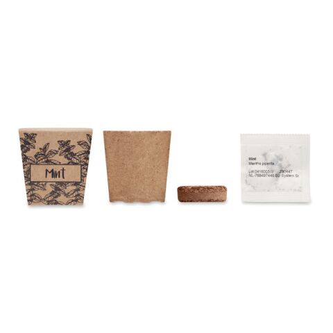 Kit de graines de menthe beige | sans marquage | non disponible | non disponible | non disponible