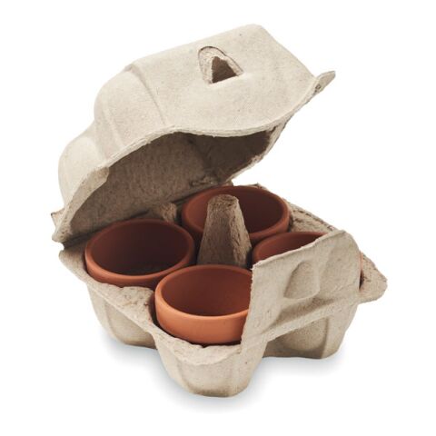 Kit de culture dans une boîte à œufs beige | sans marquage | non disponible | non disponible | non disponible
