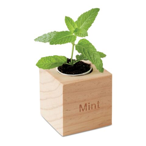 Pot en bois avec graine bois | sans marquage | non disponible | non disponible | non disponible