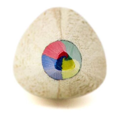 Crayon multicouleur marron | sans marquage | non disponible | non disponible