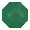 Parapluie golf 30" Zeke Standard | Vert | sans marquage | non disponible | non disponible | non disponible