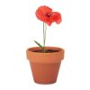 Pot graines de coquelicot bois | sans marquage | non disponible | non disponible | non disponible