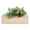 Graines de fraises dans une caisse bois | sans marquage | non disponible | non disponible | non disponible