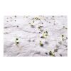 Papier A5 graines de fleurs blanc | sans marquage | non disponible | non disponible