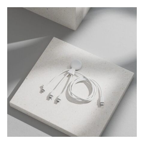 Câble USB-C long Xoopar Mr. Bio de 1 mètre Blanc | sans marquage | non disponible | non disponible