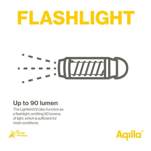 Lampe de camping et lampe de poche Aqiila Lightbird G1 noir | sans marquage | non disponible | non disponible