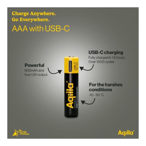 Piles rechargeables Aqiila AAA USB-C 600 mAh, lot de 4 Noir