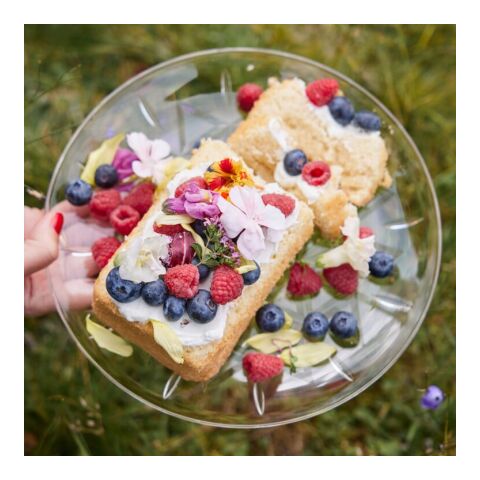 Sagaform Assiette à pique-nique 4 pièces Transparent | sans marquage